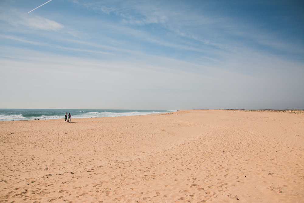 Boat Trip to Ilha Deserta (Barreta Island) Faro, The Algarve