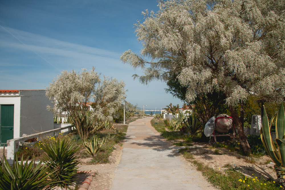 Visit Farol in Ria Formosa Natural Park in the Algarve, Portugal
