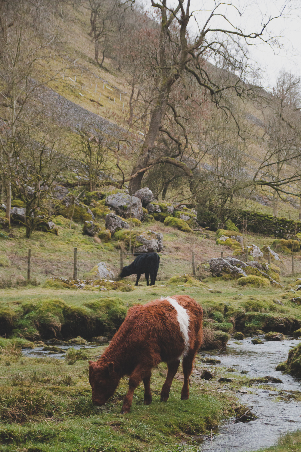 Malham Cove in the Yorkshire Dales National Park