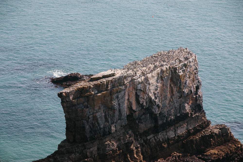 Green Bridge of Wales in Pembrokeshire Coastal Walk