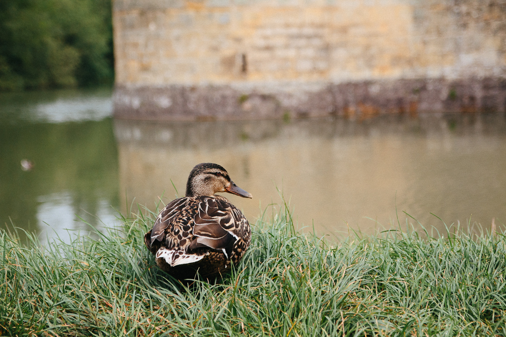 National Trust Bodiam Castle