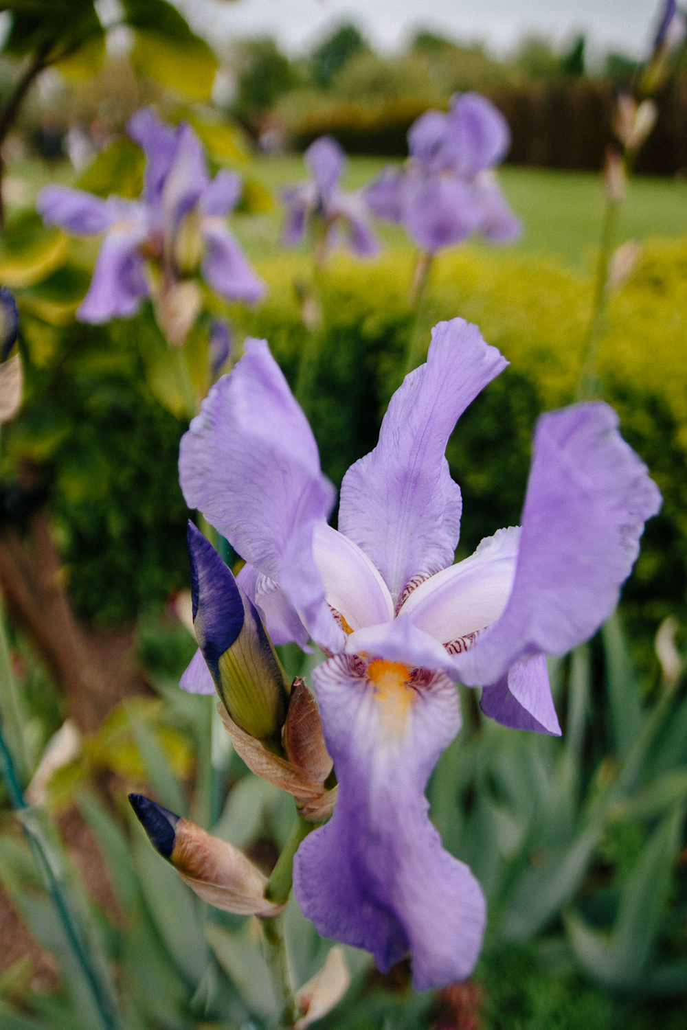 The Gardens at National Trust Sissinghurst Castle