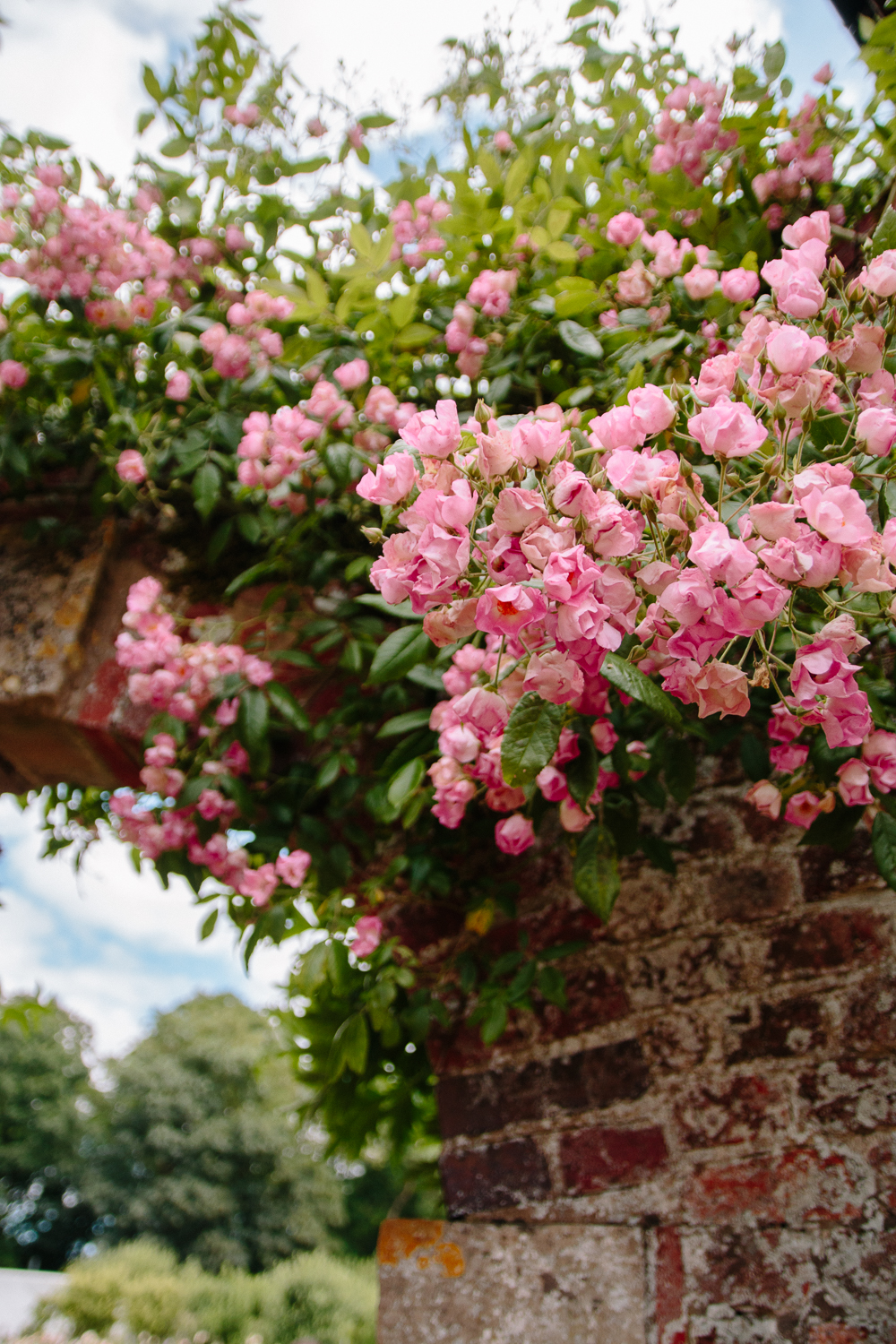 The Gardens at Gunby Estate