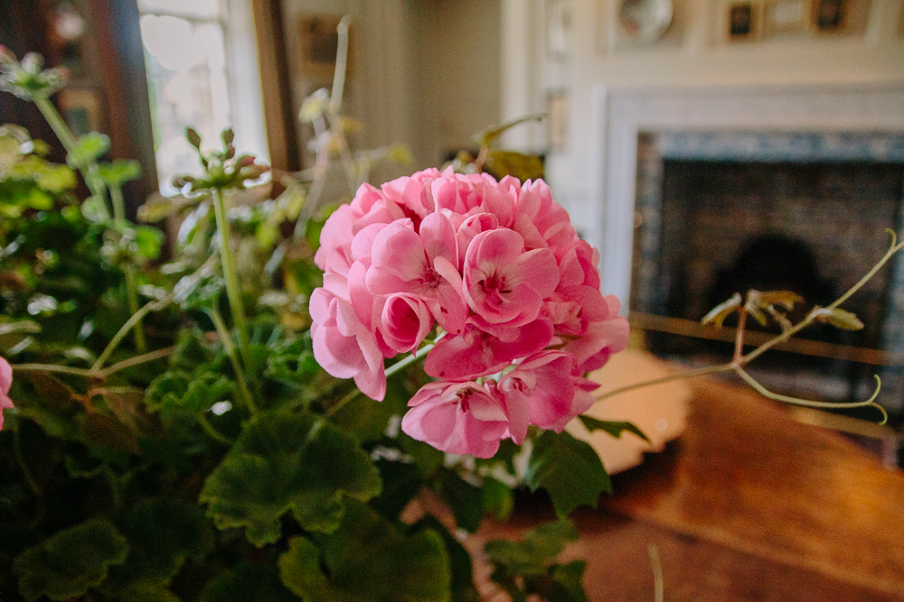 The Gardens at Gunby Estate