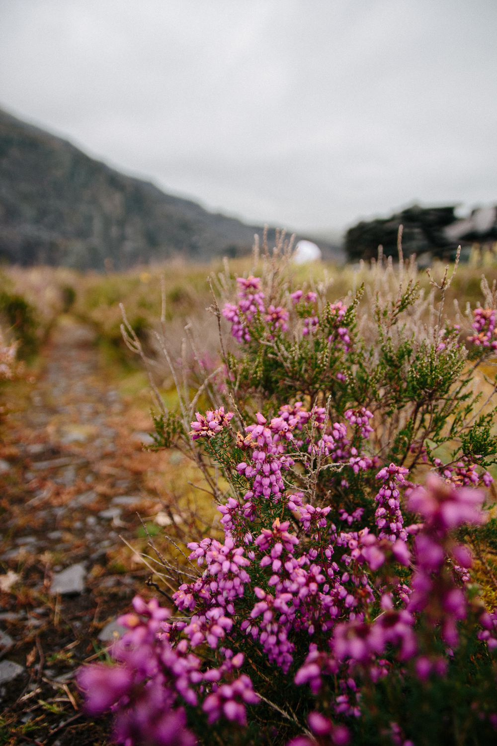 Snowdonia Dinorwic Quarry Hike