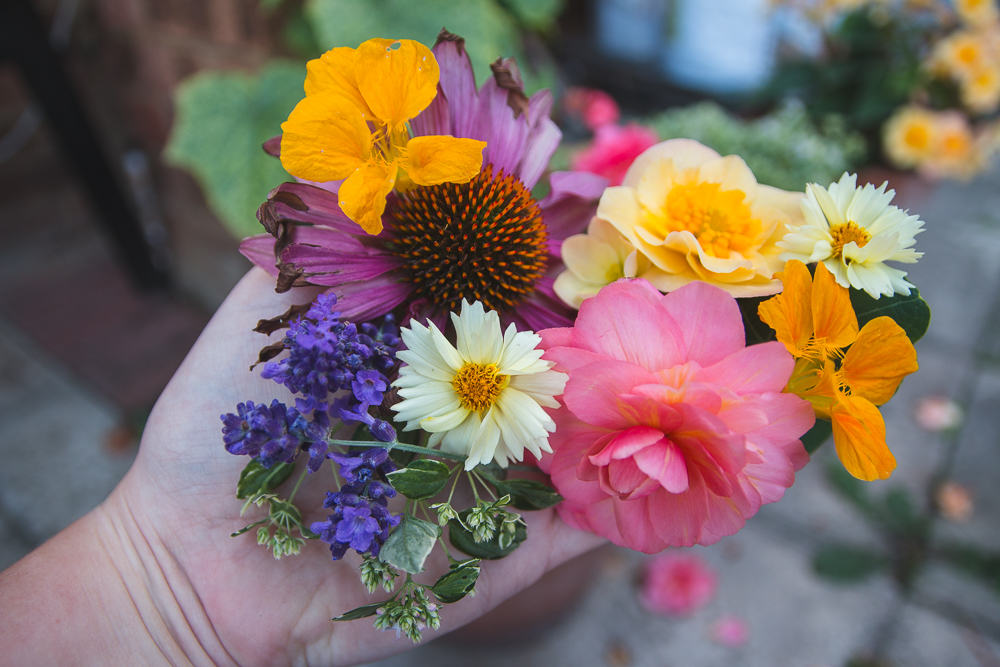 Grow Your Own Flowers