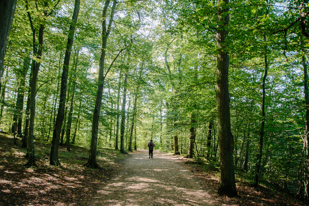 Walking through the forest at Burg Eltz