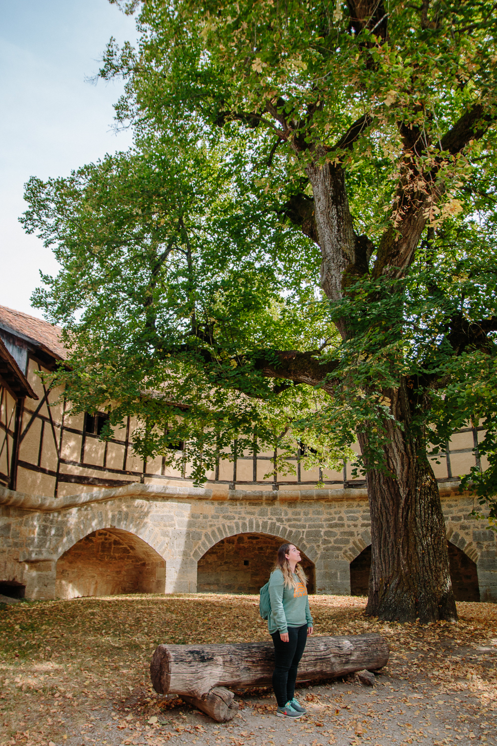 Rothenburg ob der Tauber Old Town