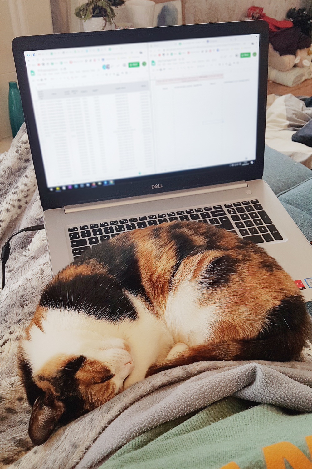 Isla Working From Home