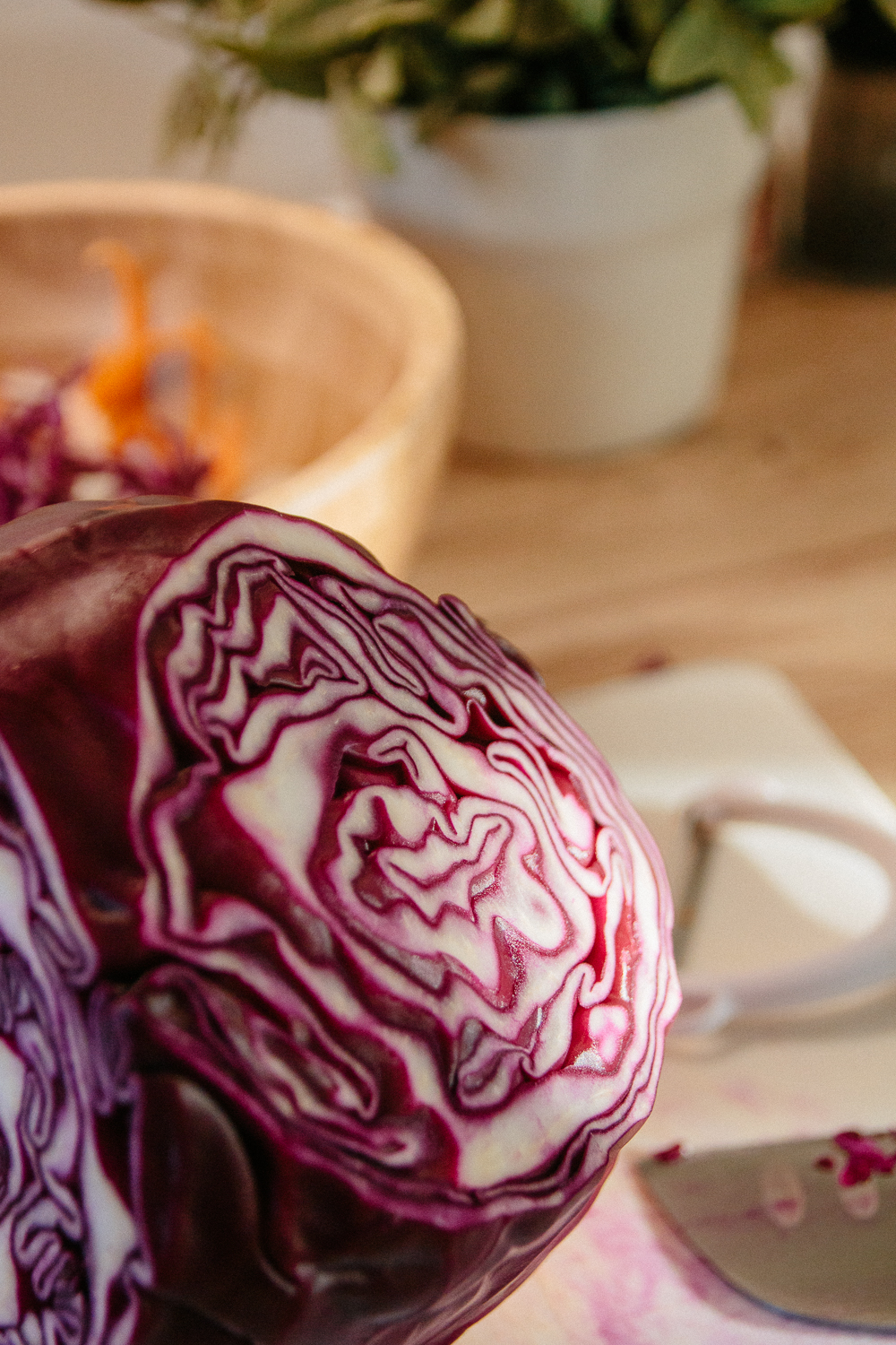 Details of a Red Cabbage