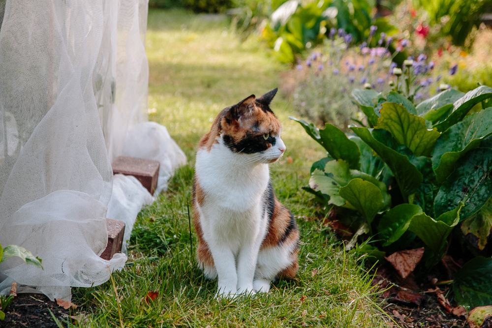 Isla in the Garden