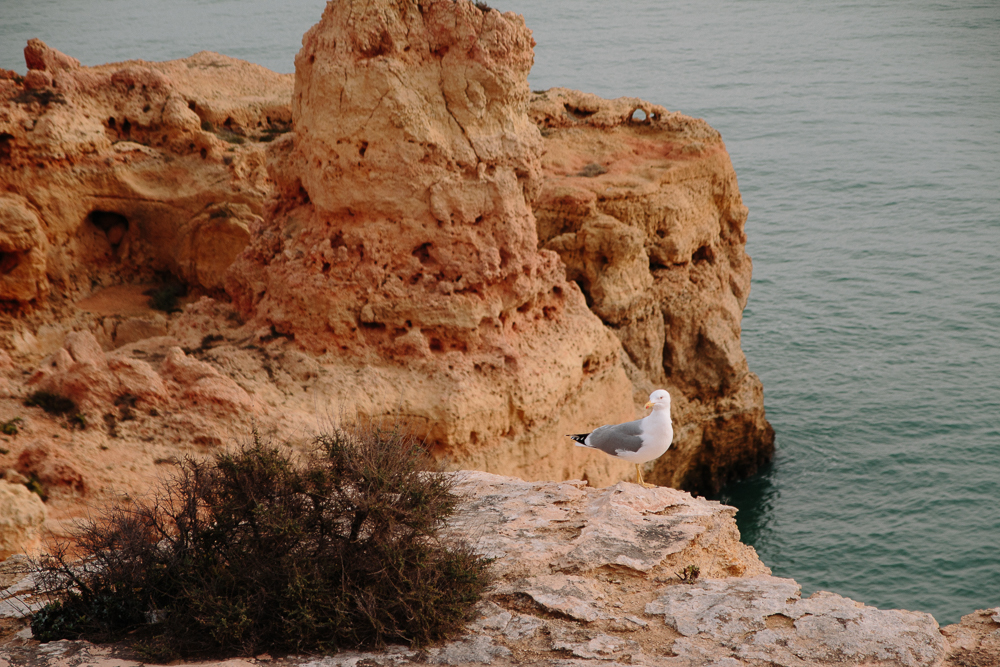 Carvoeiro Boardwalk