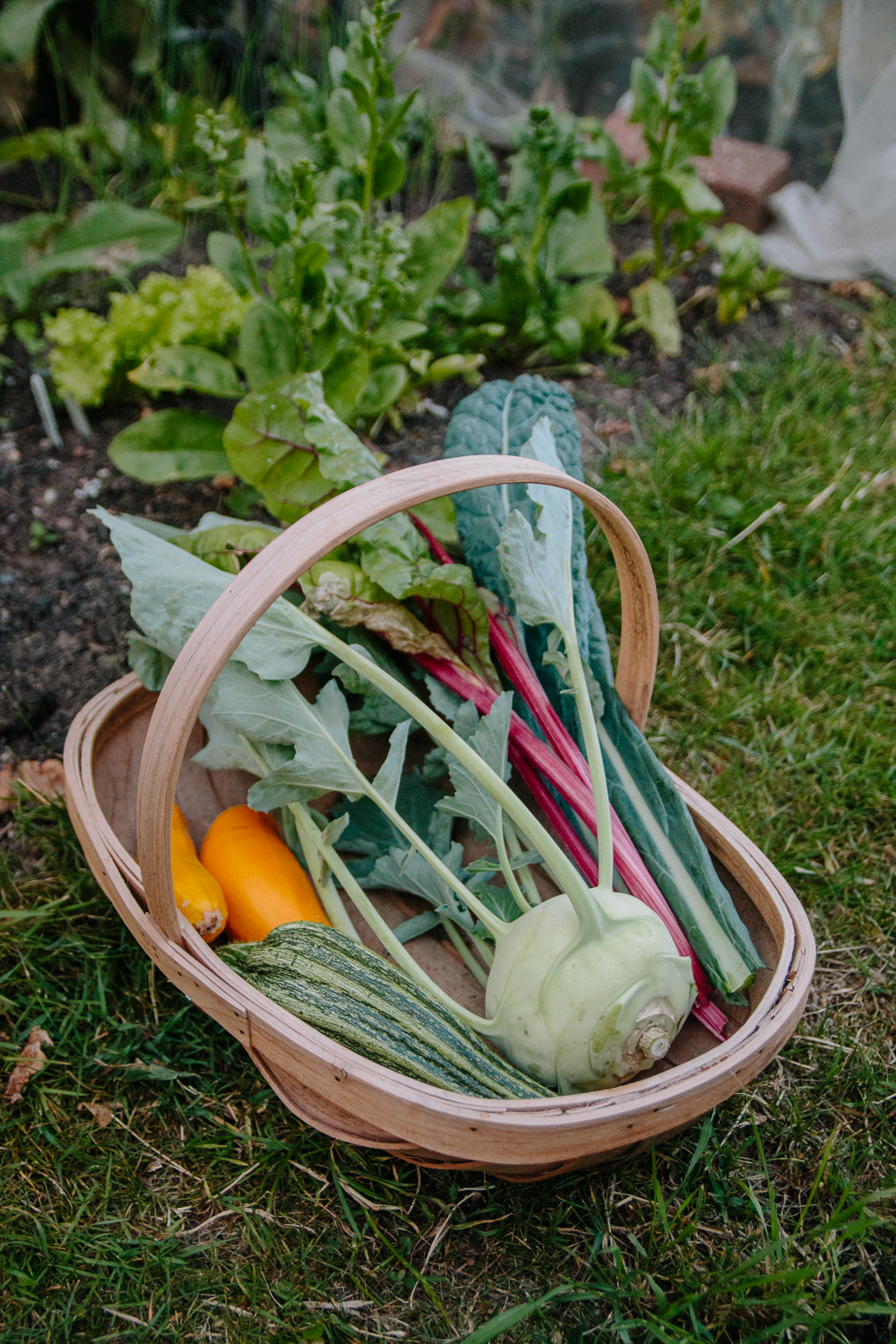 July 2020 Vegetable Harvest