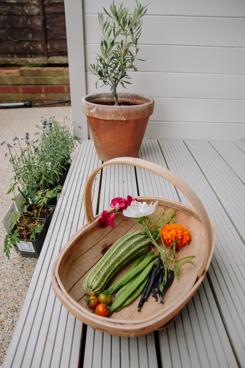 July 2020 Vegetable Harvest