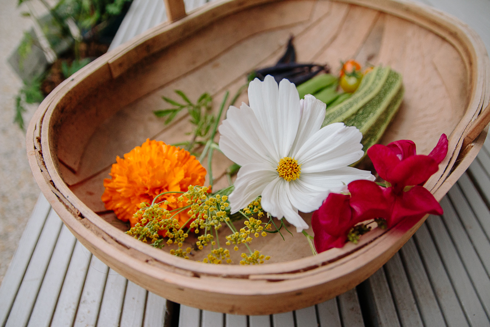 Flower Harvest Vegetable Garden