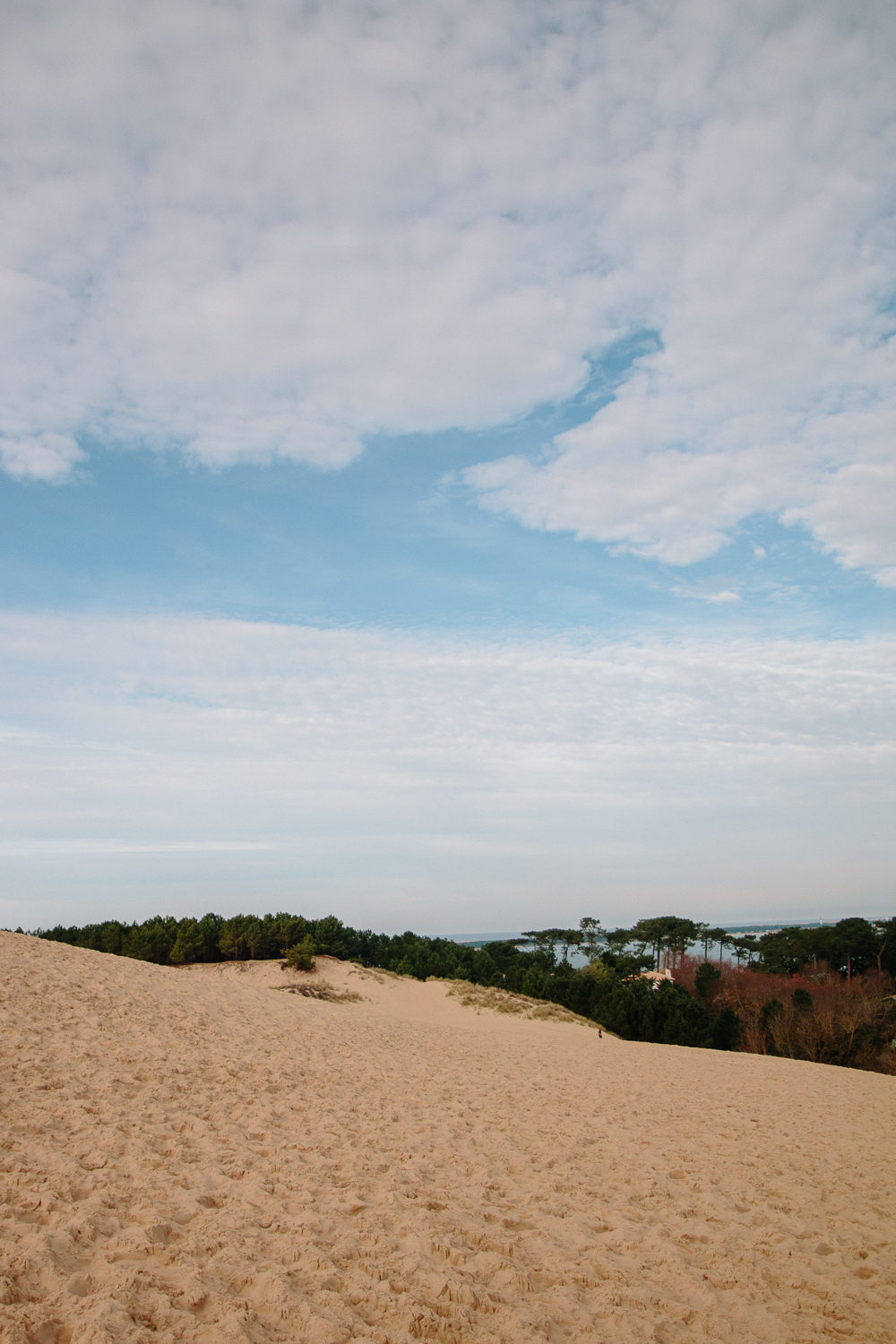 View from the top of Dune du Pilat