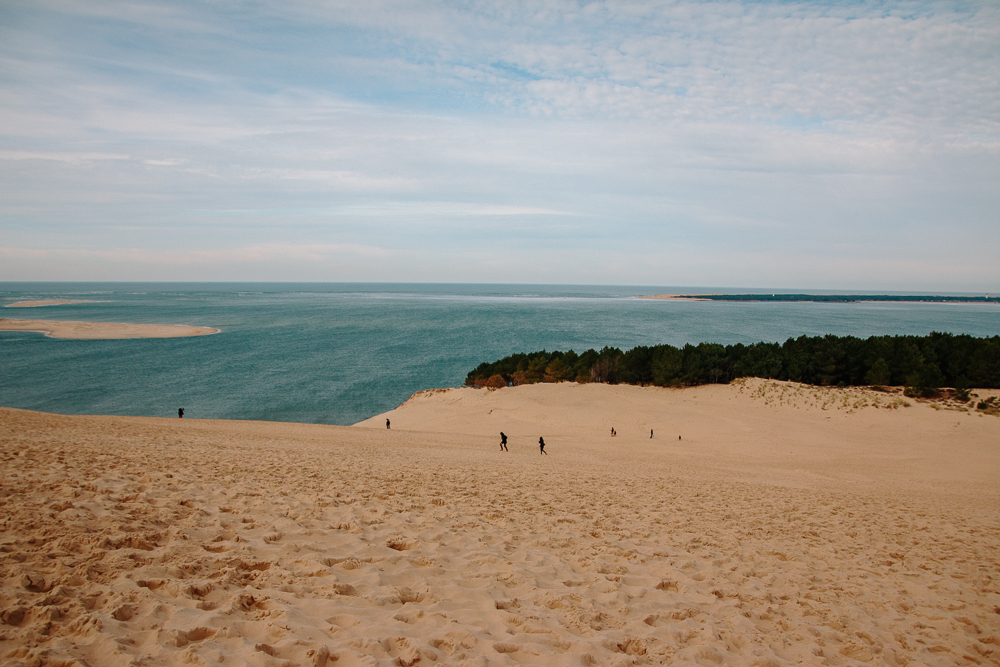 View from the top of Dune du Pilat