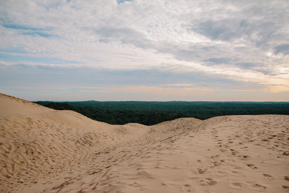 View from the top of Dune du Pilat