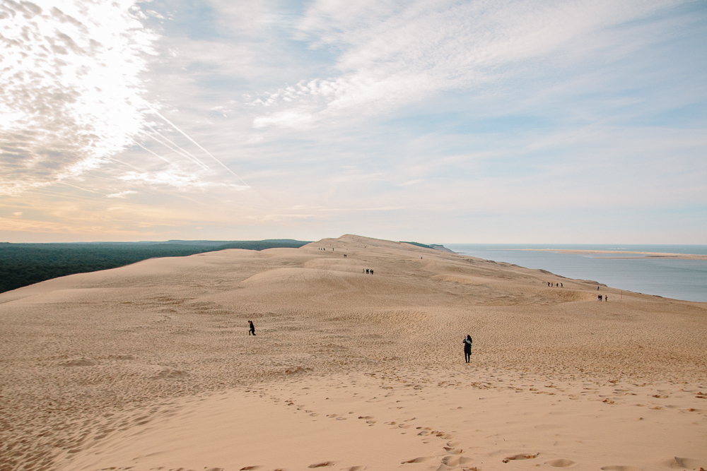 View from the top of Dune du Pilat