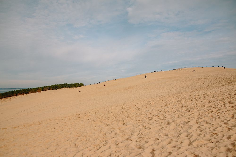 View from the top of Dune du Pilat