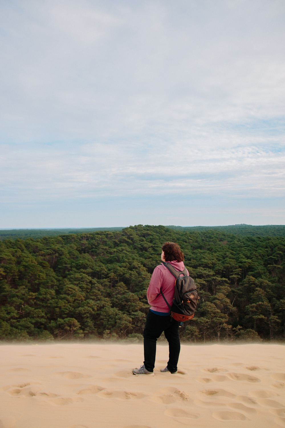 View from the top of Dune du Pilat