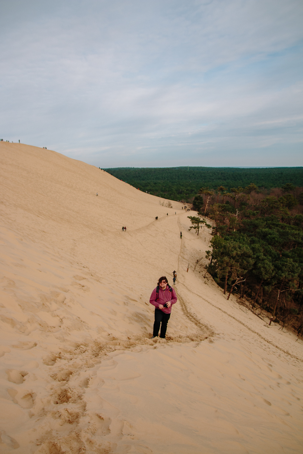 View from the top of Dune du Pilat