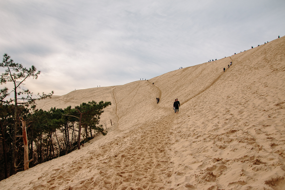 View from the top of Dune du Pilat